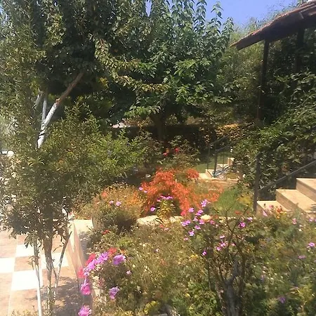 Vila Rengin's Kusadası