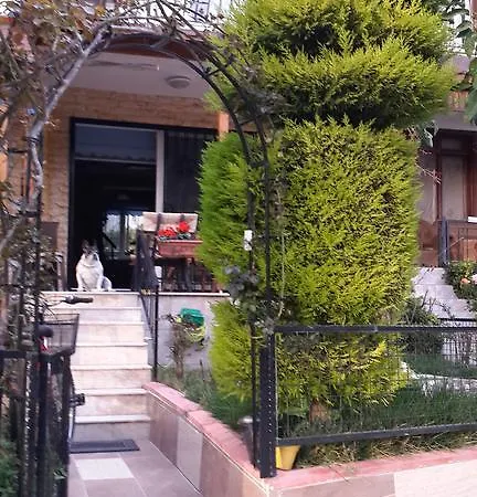 Rengin's * Kusadası