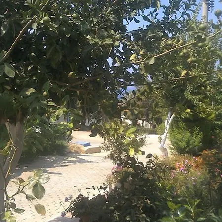 Rengin's Vila Kusadası