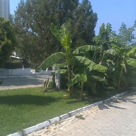 Rengin's Kusadası