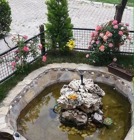 Vila Rengin's Kusadası