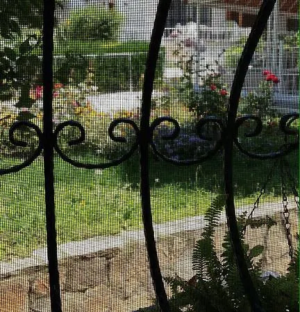 Rengin's * Kusadası